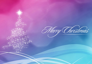 Updated Week 51 of 2013 – Gansbaai News, Specials & Events